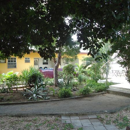 Happy Turtle Apartments Willemstad Dış mekan fotoğraf