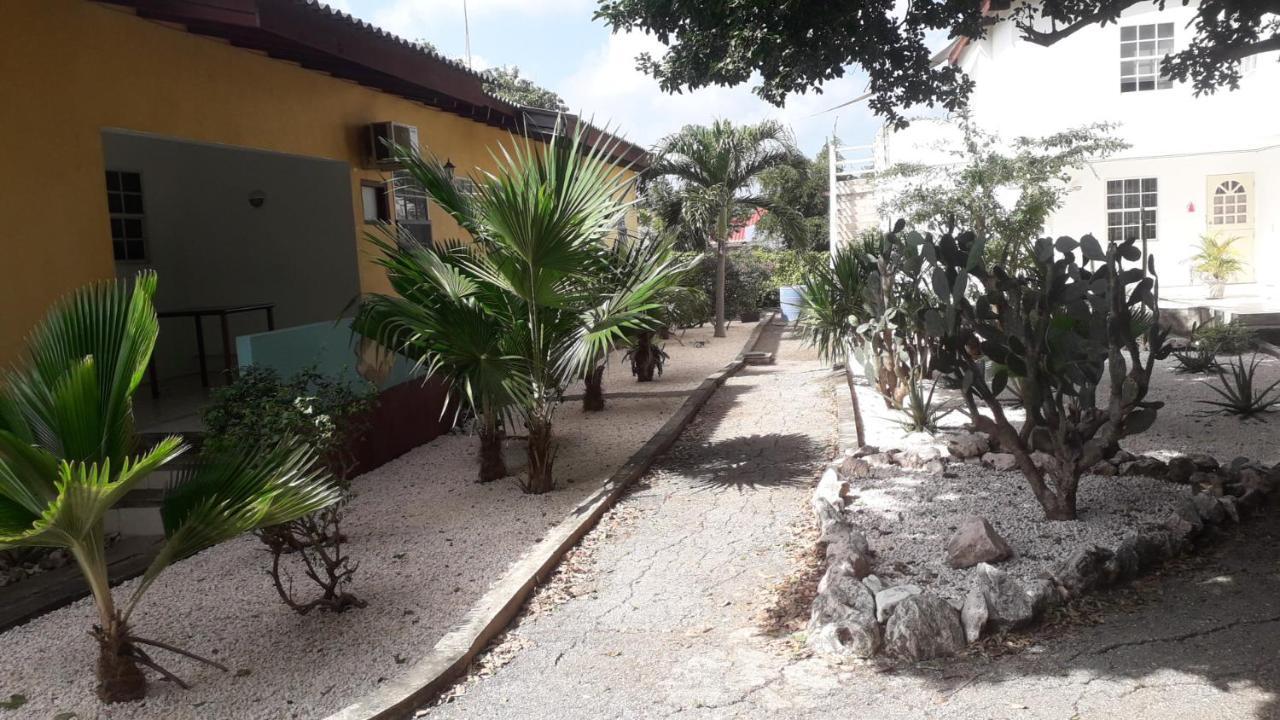 Happy Turtle Apartments Willemstad Dış mekan fotoğraf